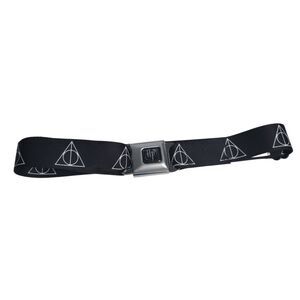 Buckle-Down Harry Potter Belt